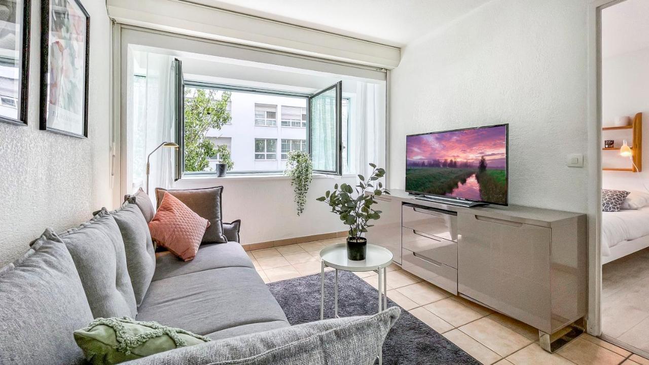 Homey Cycy - New / Free Parking / Hyper-Centre / Proche Geneve Аннемас Экстерьер фото