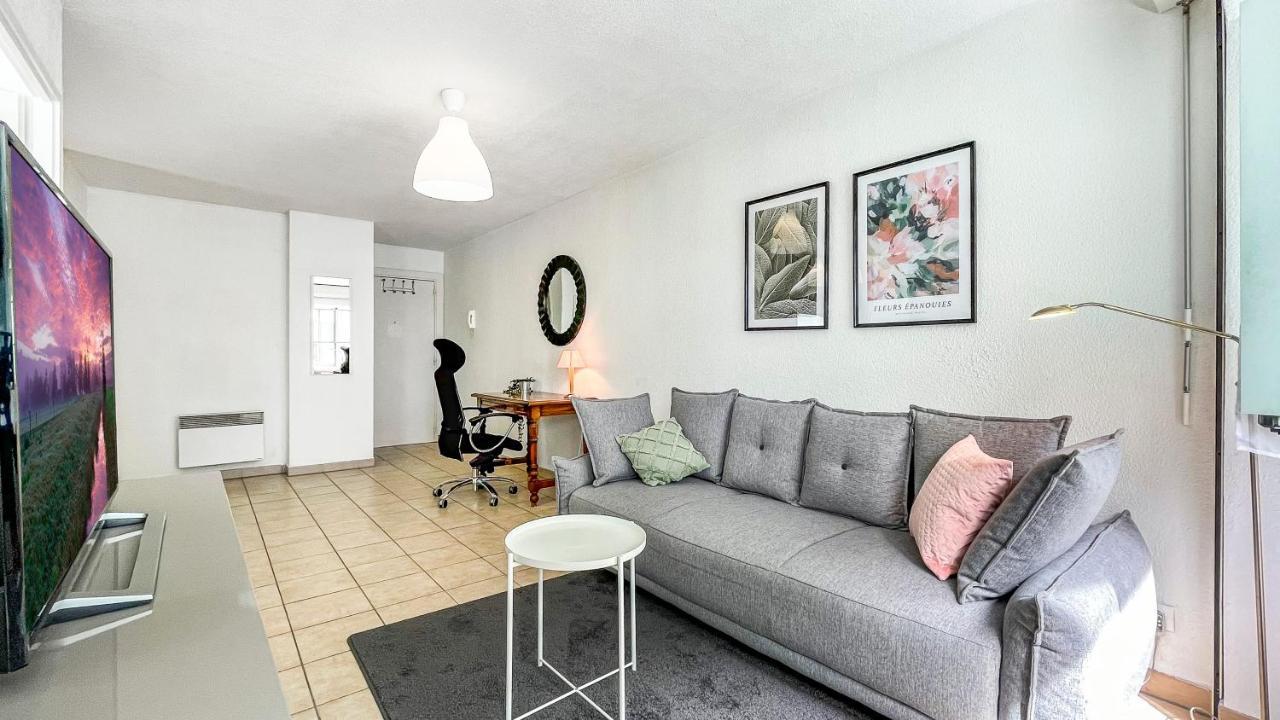 Homey Cycy - New / Free Parking / Hyper-Centre / Proche Geneve Аннемас Экстерьер фото